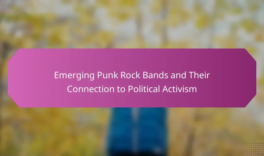 Emerging Punk Rock Bands and Their Connection to Political Activism