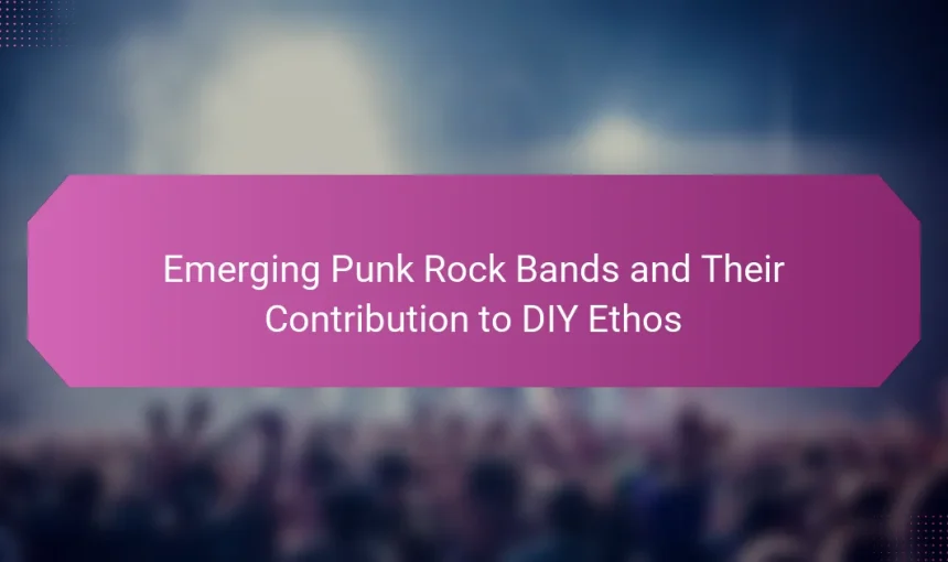 Emerging Punk Rock Bands and Their Contribution to DIY Ethos