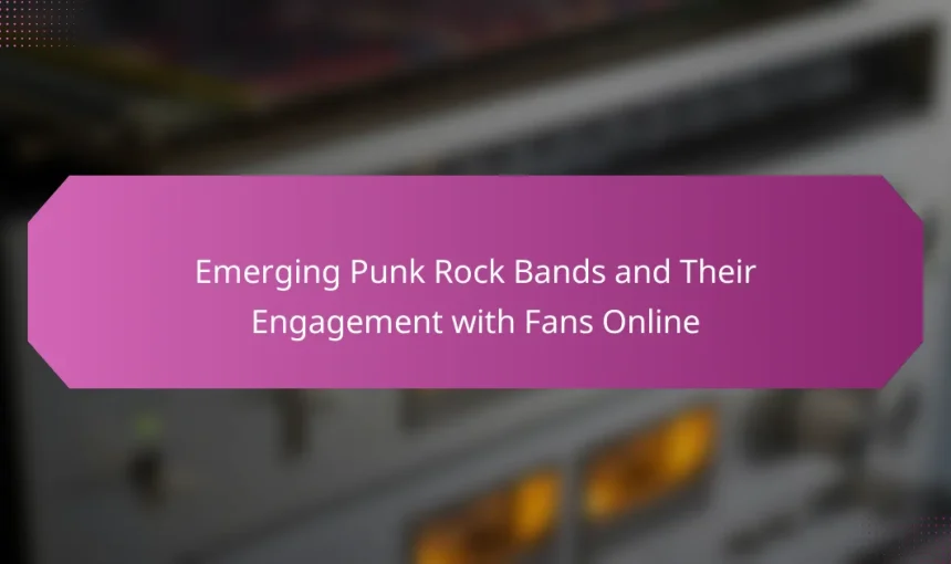 Emerging Punk Rock Bands and Their Engagement with Fans Online