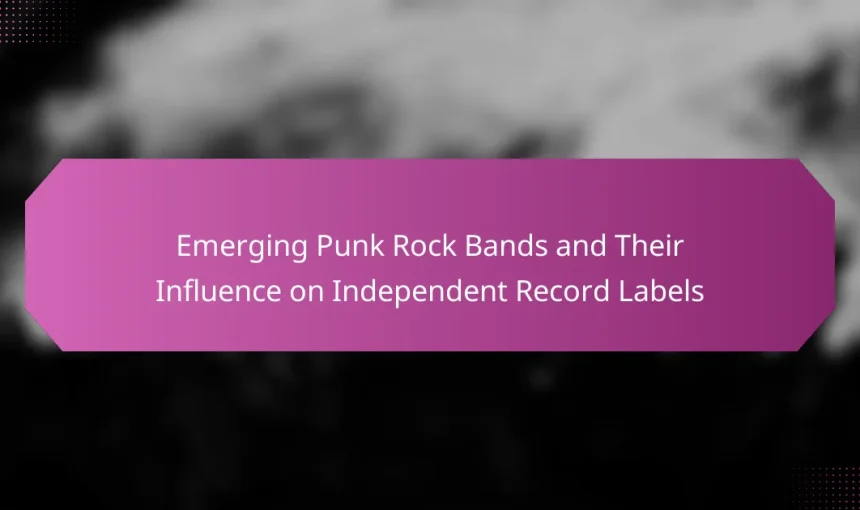 Emerging Punk Rock Bands and Their Influence on Independent Record Labels