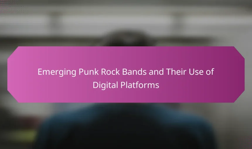 Emerging Punk Rock Bands and Their Use of Digital Platforms