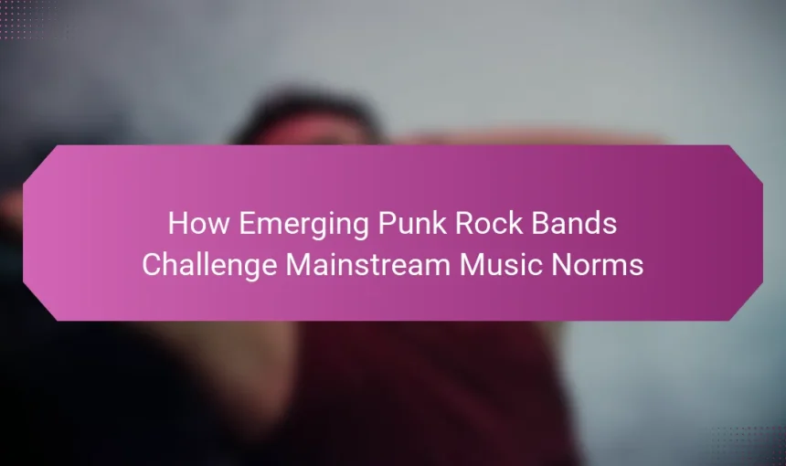 How Emerging Punk Rock Bands Challenge Mainstream Music Norms
