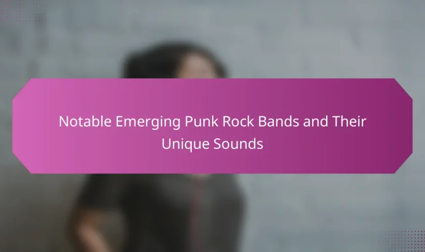 Notable Emerging Punk Rock Bands and Their Unique Sounds
