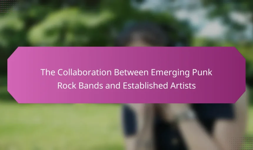 The Collaboration Between Emerging Punk Rock Bands and Established Artists