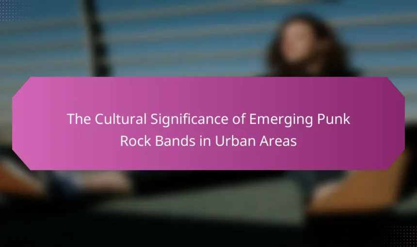The Cultural Significance of Emerging Punk Rock Bands in Urban Areas