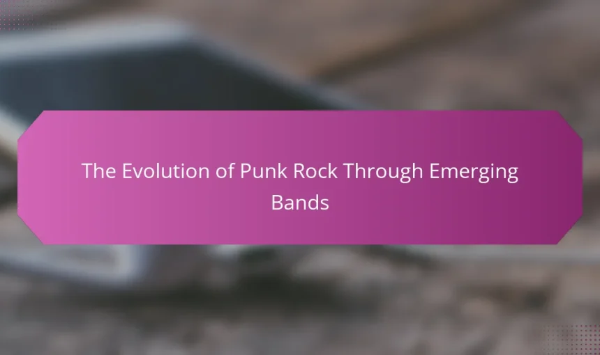 The Evolution of Punk Rock Through Emerging Bands