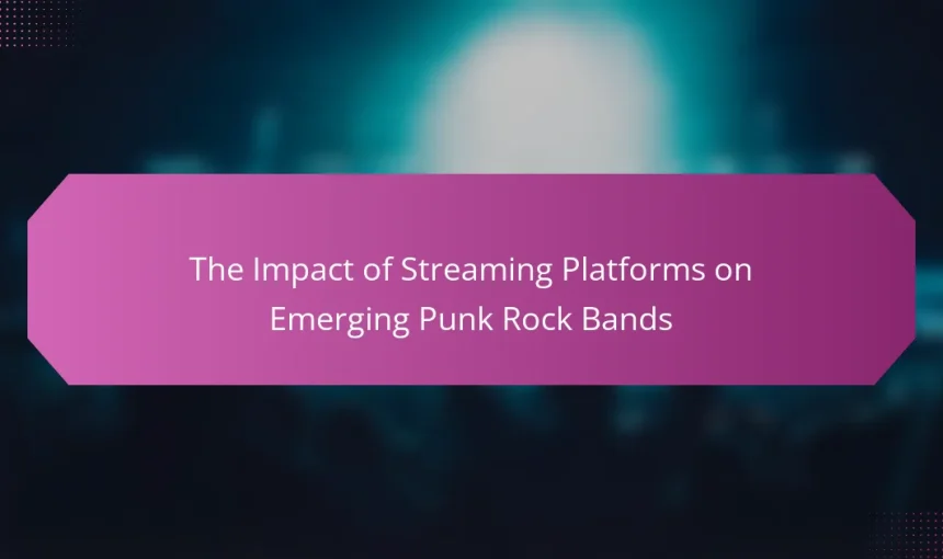 The Impact of Streaming Platforms on Emerging Punk Rock Bands