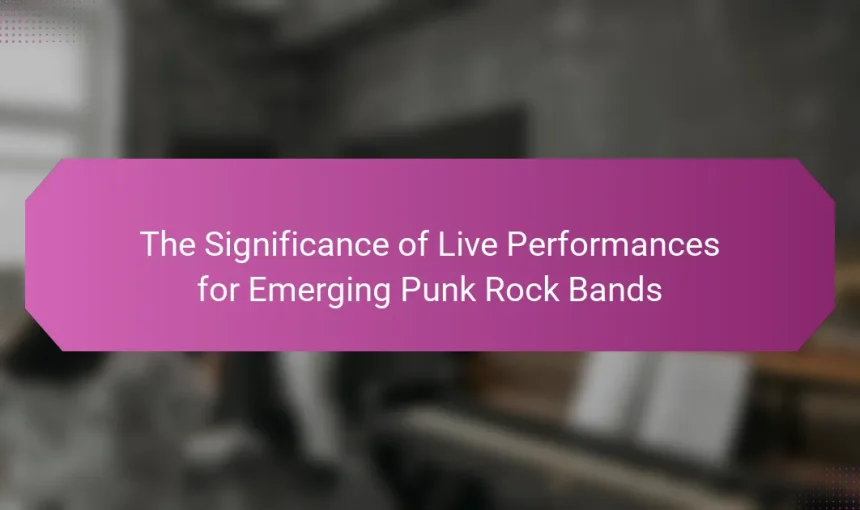 The Significance of Live Performances for Emerging Punk Rock Bands