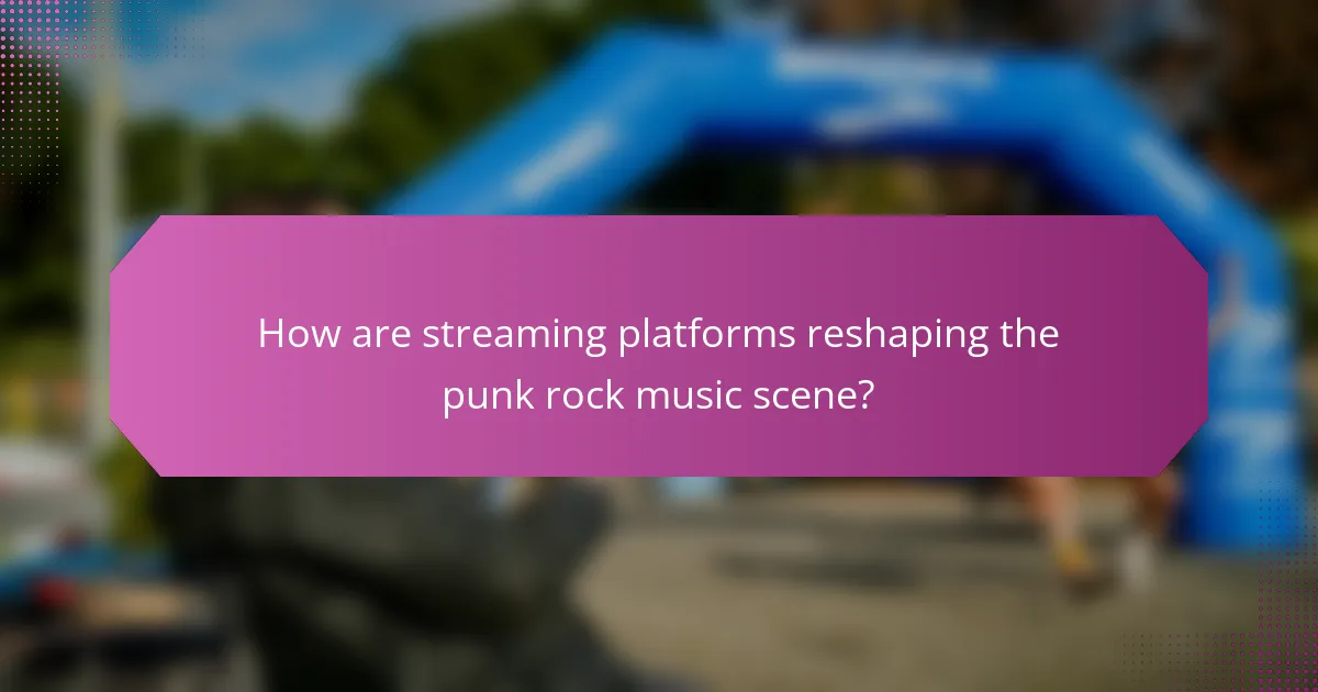 How are streaming platforms reshaping the punk rock music scene?