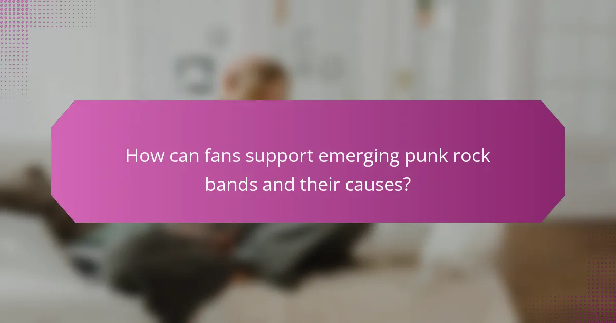 How can fans support emerging punk rock bands and their causes?