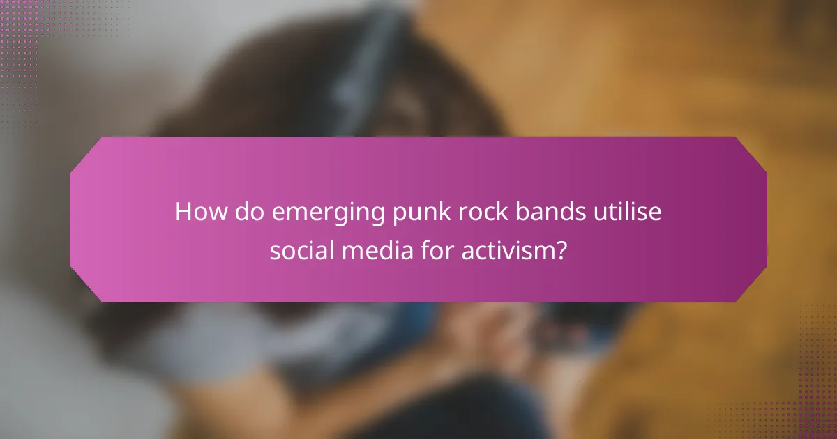 How do emerging punk rock bands utilise social media for activism?