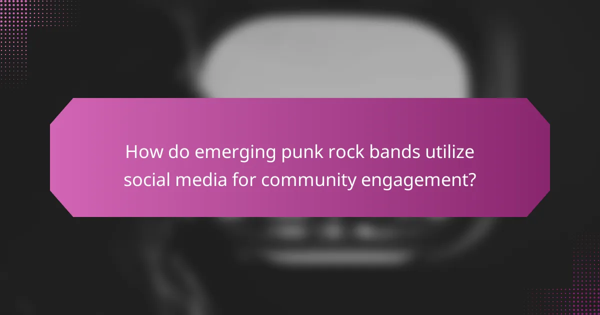 How do emerging punk rock bands utilize social media for community engagement?