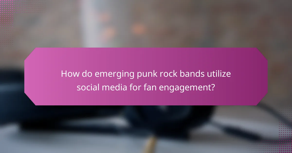 How do emerging punk rock bands utilize social media for fan engagement?