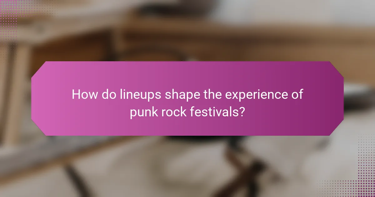 How do lineups shape the experience of punk rock festivals?