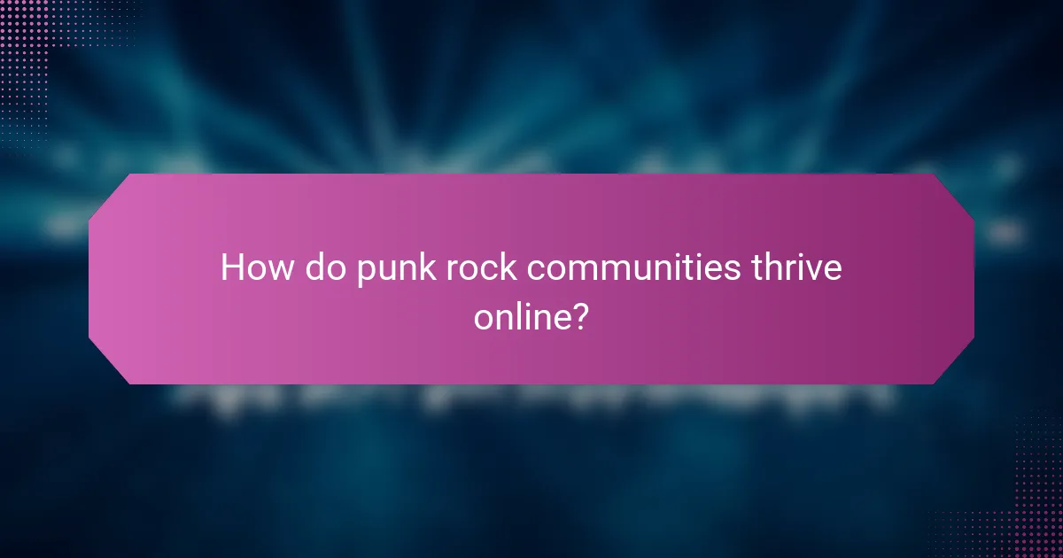 How do punk rock communities thrive online?
