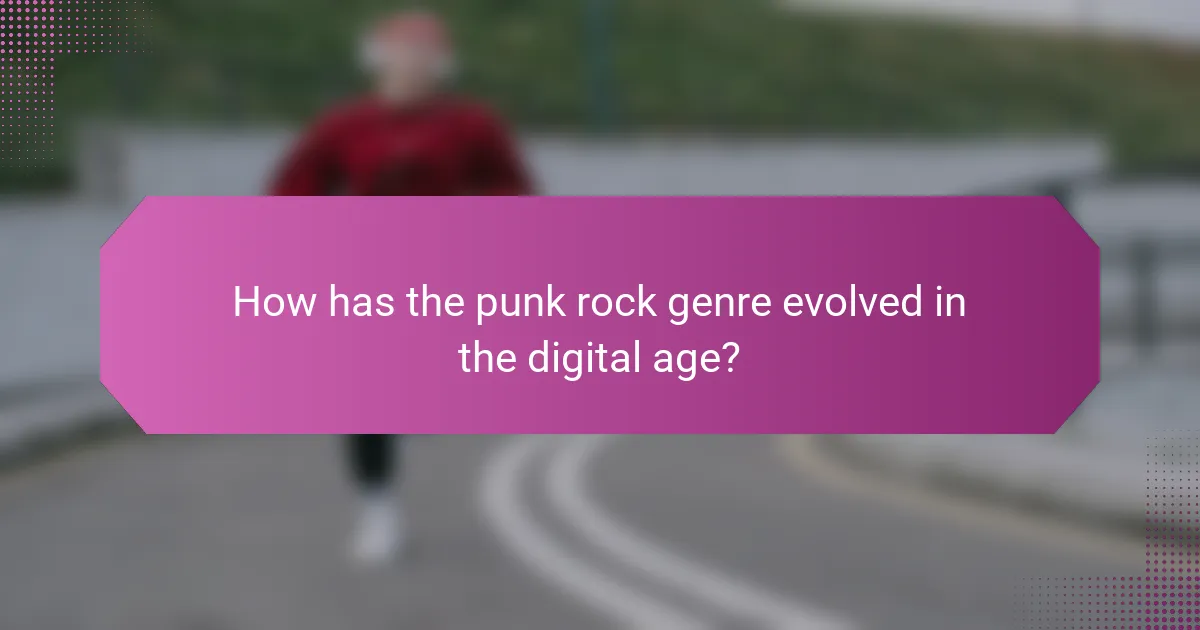How has the punk rock genre evolved in the digital age?