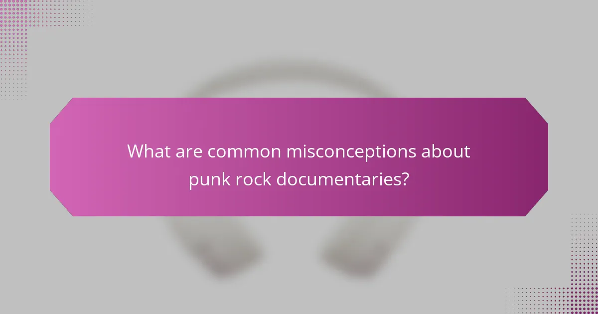 What are common misconceptions about punk rock documentaries?
