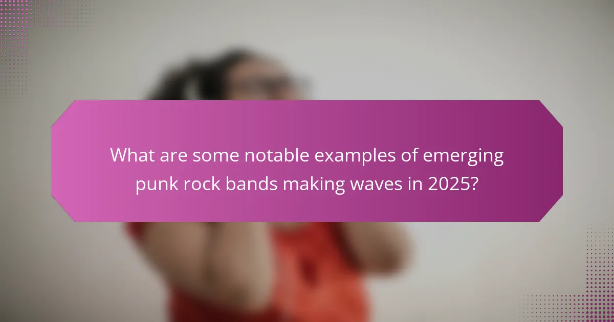 What are some notable examples of emerging punk rock bands making waves in 2025?