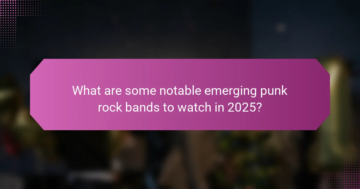 What are some notable emerging punk rock bands to watch in 2025?