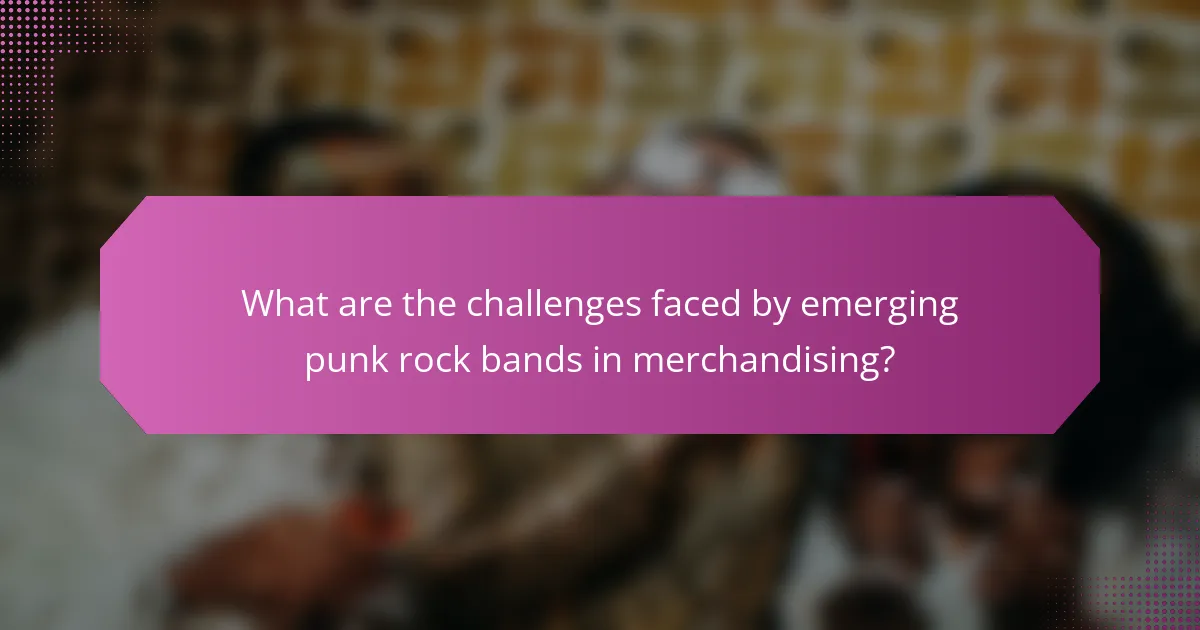 What are the challenges faced by emerging punk rock bands in merchandising?