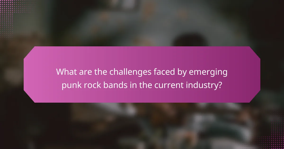 What are the challenges faced by emerging punk rock bands in the current industry?