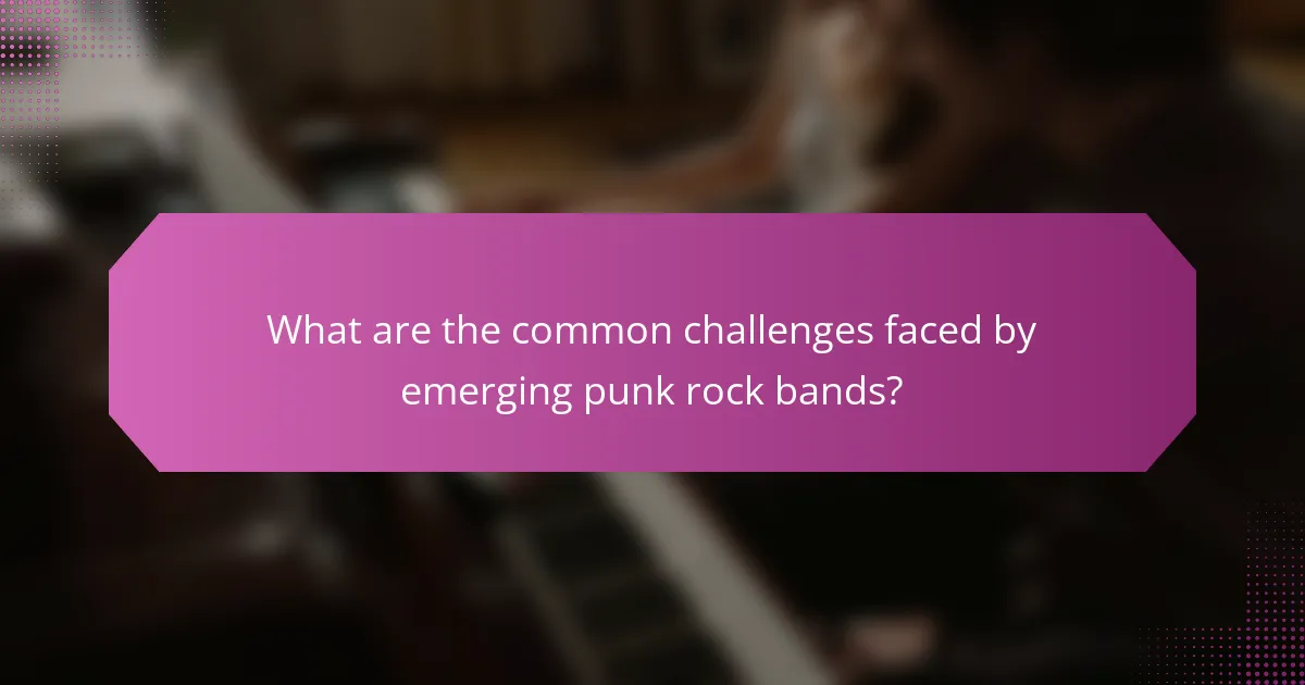 What are the common challenges faced by emerging punk rock bands?