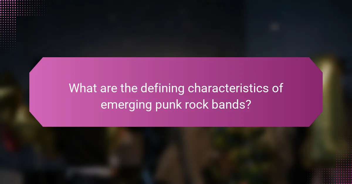 What are the defining characteristics of emerging punk rock bands?