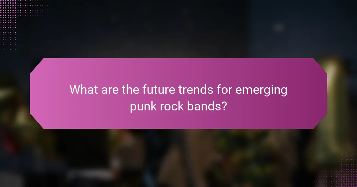 What are the future trends for emerging punk rock bands?
