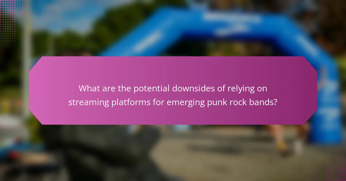 What are the potential downsides of relying on streaming platforms for emerging punk rock bands?