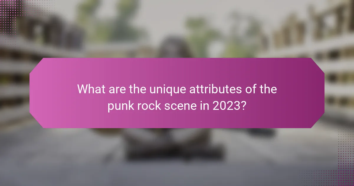 What are the unique attributes of the punk rock scene in 2023?