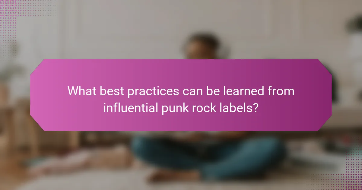 What best practices can be learned from influential punk rock labels?