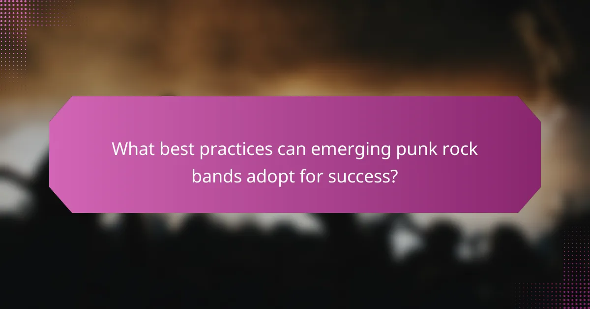 What best practices can emerging punk rock bands adopt for success?