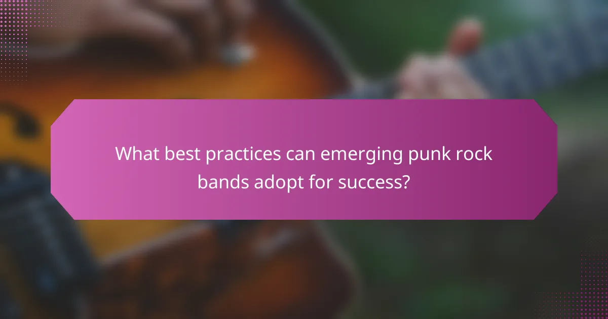 What best practices can emerging punk rock bands adopt for success?