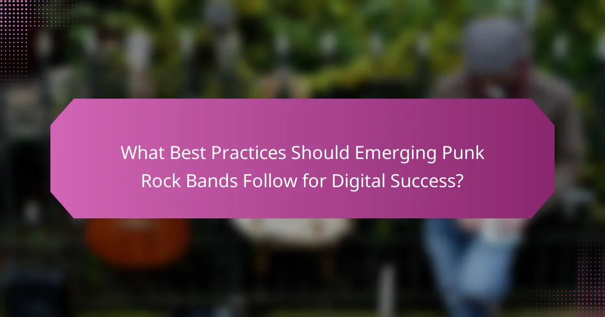 What Best Practices Should Emerging Punk Rock Bands Follow for Digital Success?