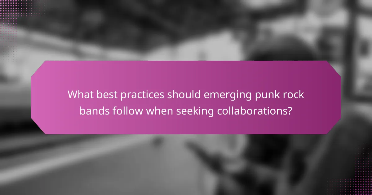 What best practices should emerging punk rock bands follow when seeking collaborations?
