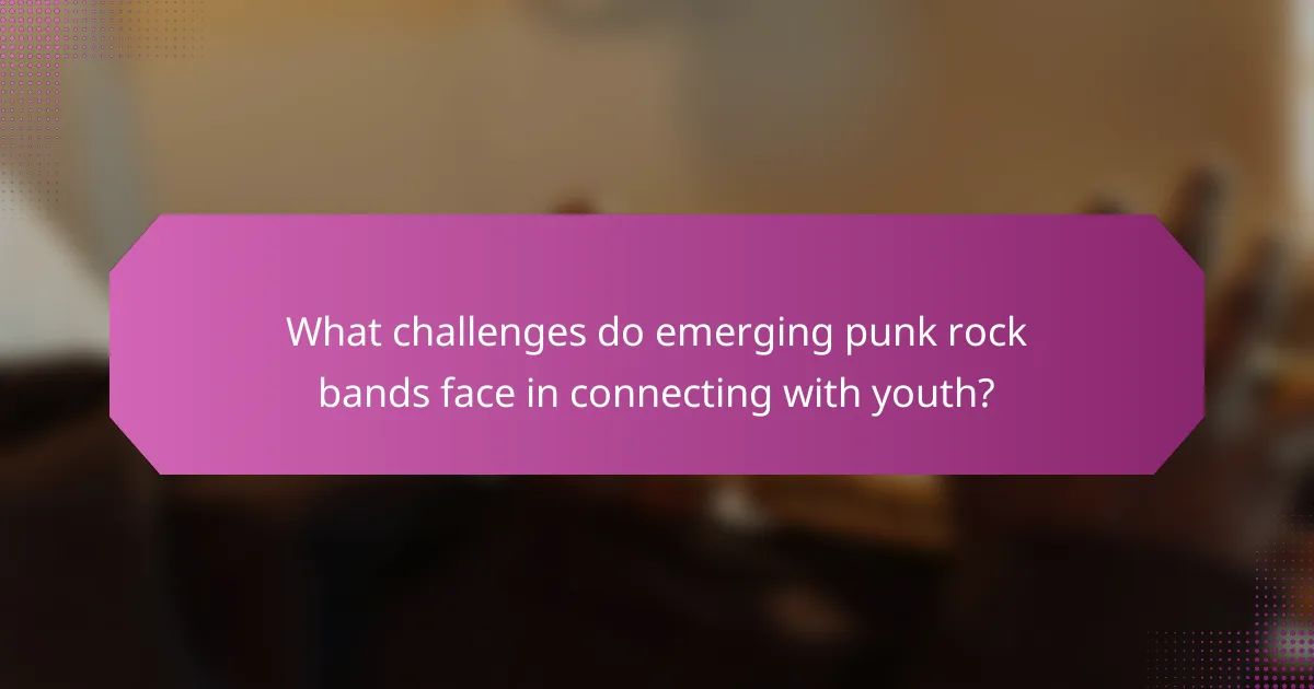 What challenges do emerging punk rock bands face in connecting with youth?