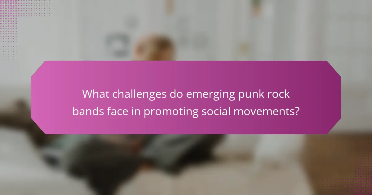 What challenges do emerging punk rock bands face in promoting social movements?