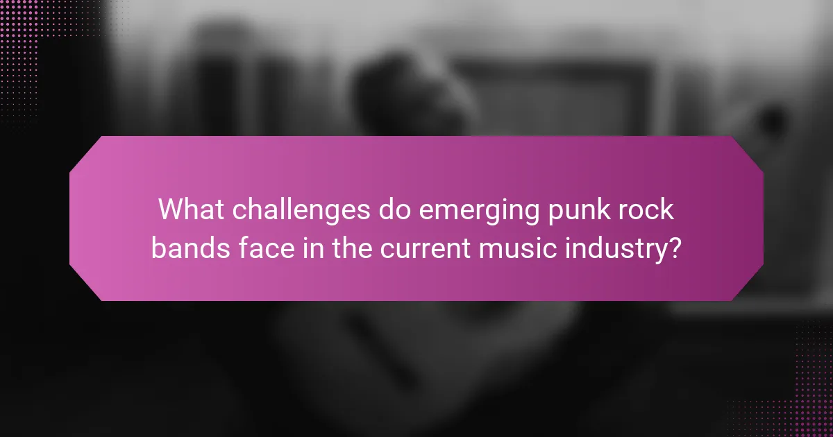 What challenges do emerging punk rock bands face in the current music industry?