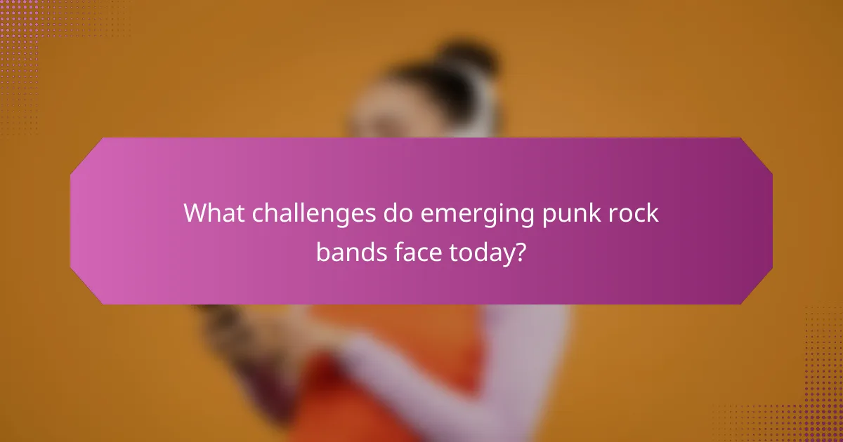 What challenges do emerging punk rock bands face today?