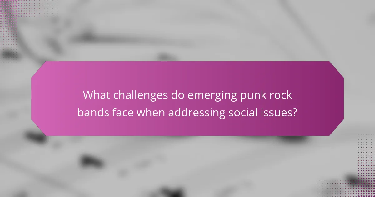 What challenges do emerging punk rock bands face when addressing social issues?