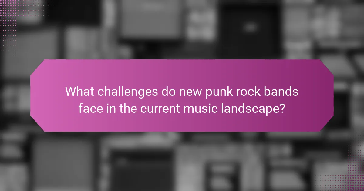 What challenges do new punk rock bands face in the current music landscape?