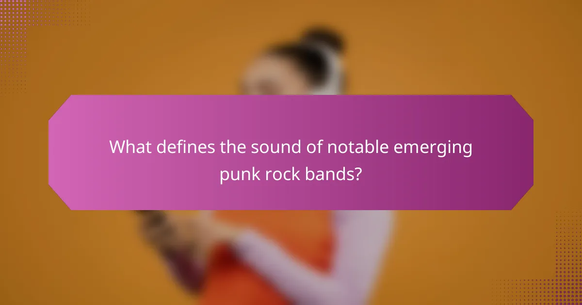 What defines the sound of notable emerging punk rock bands?