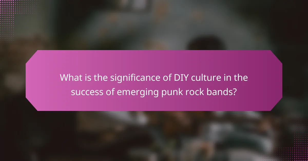 What is the significance of DIY culture in the success of emerging punk rock bands?