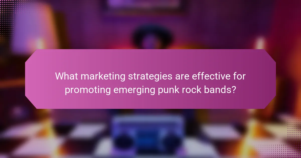 What marketing strategies are effective for promoting emerging punk rock bands?