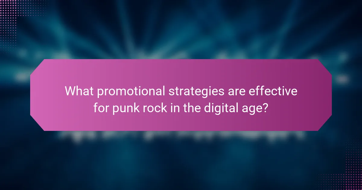 What promotional strategies are effective for punk rock in the digital age?