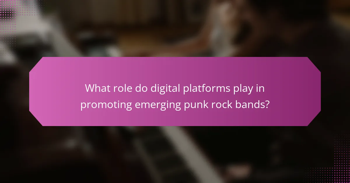 What role do digital platforms play in promoting emerging punk rock bands?