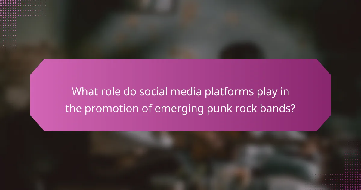 What role do social media platforms play in the promotion of emerging punk rock bands?