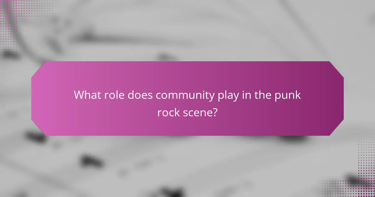What role does community play in the punk rock scene?
