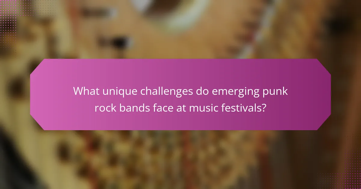 What unique challenges do emerging punk rock bands face at music festivals?