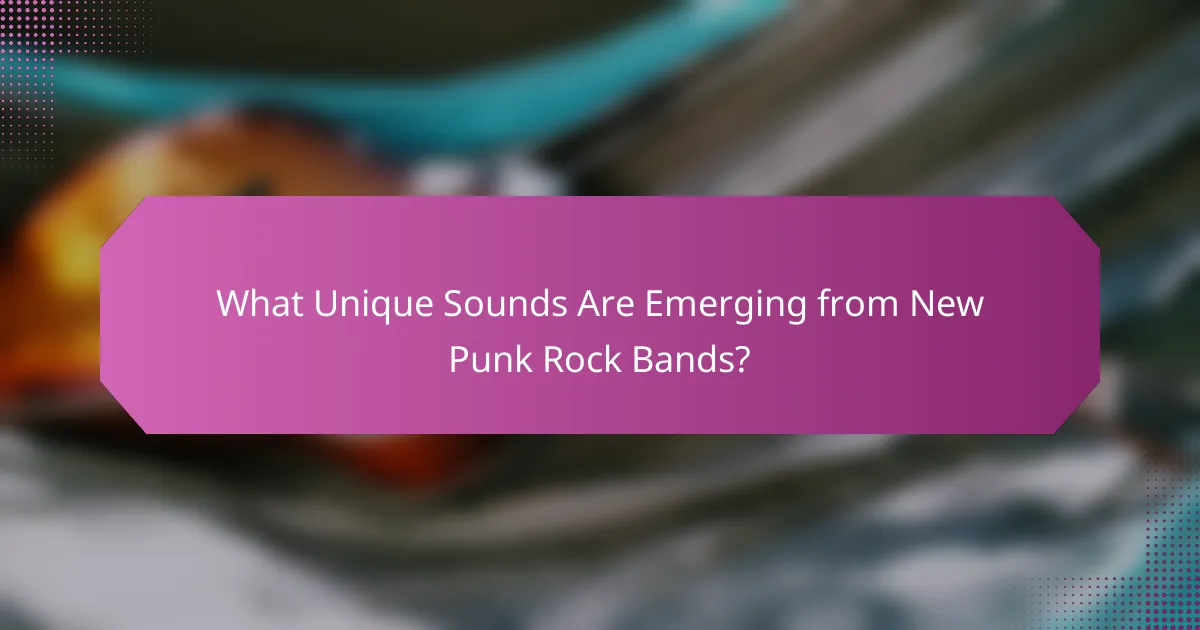 What Unique Sounds Are Emerging from New Punk Rock Bands?